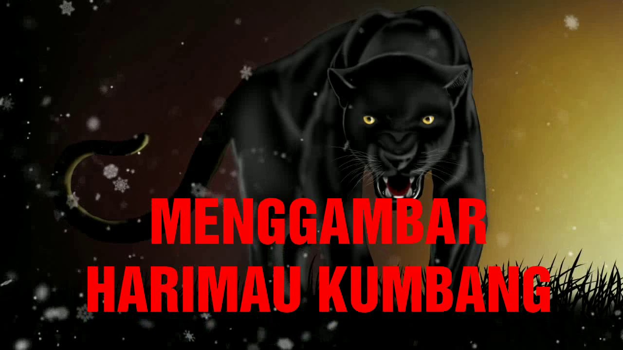 MENGGAMBAR HARIMAU KUMBANG YouTube