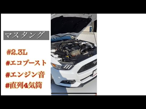 マスタング　エコブースト　エンジン音