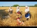 Ой у полі нивка   Oj u poli nyvka   Ukrainian folk song   Olexa Kerekesha