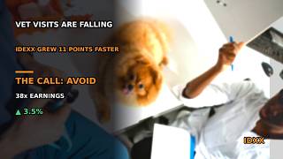 IDEXX IDXX Vet Visits Are Falling It Grew 11 Points Faster Is IDXX Stock a Buy