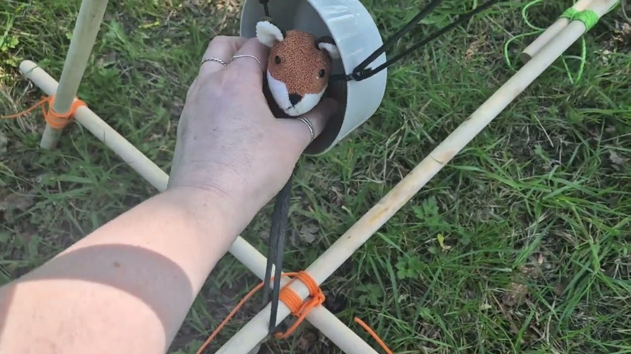 Self-led activity testing at Foxlease Park - flying lessons for Foxie! (No Foxies were harmed) ♥️🦊