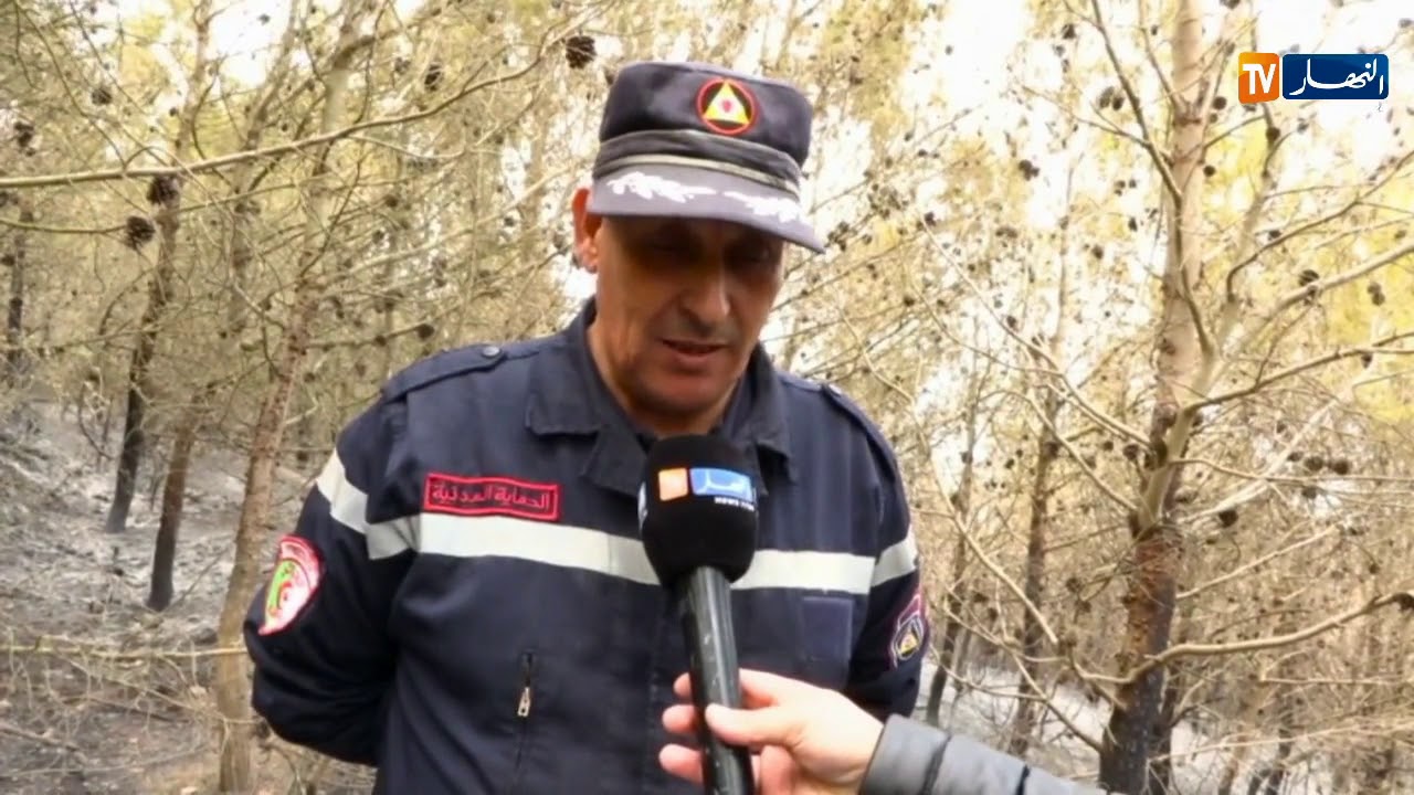 تيبازة: النيران تلتهم عشرات الهكتارات من الغابات بقوراية