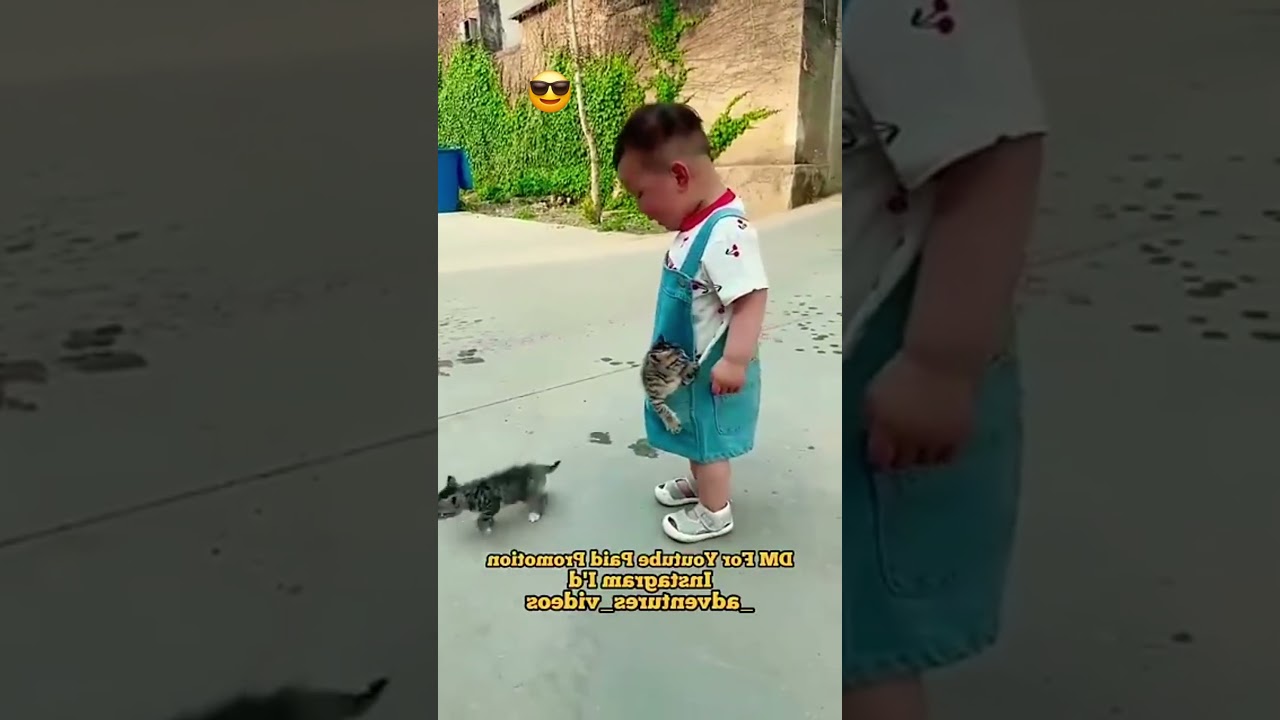 Cat and baby cute funny 😁 moment