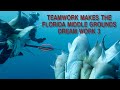 Teamwork makes the florida middle grounds dream work  episode 3