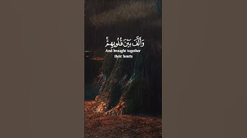 سورة الأنفال  الآية 62 و 63 و 64 بصوت القارئ محمد الفقيه