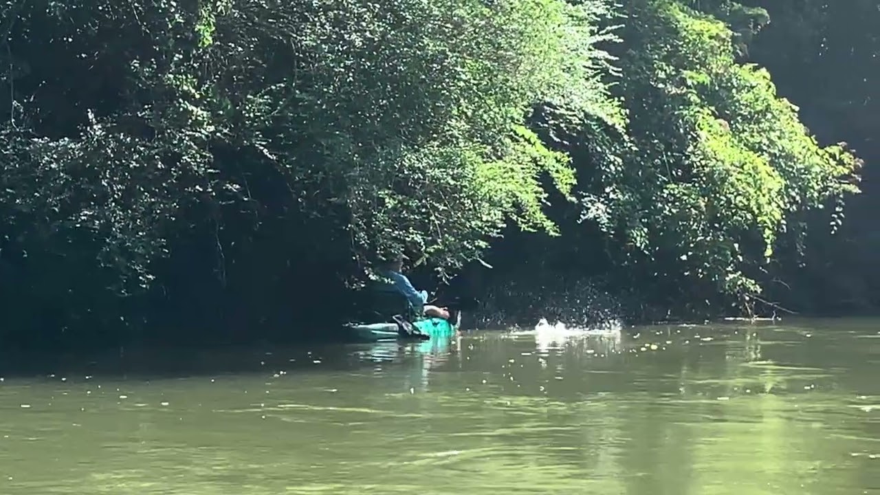 Fishing the Coosawattee River