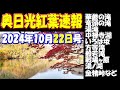 【2026年日光紅葉の参考に】「いろは坂」から「金精峠」まで・華厳滝・中禅寺湖・龍頭滝(竜頭滝)・戦場ヶ原・光徳園地・湯滝・湯ノ湖・奥日光湯元温泉・方等の滝・般若の滝　2024年10月22日撮影