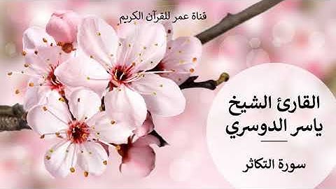 102 سورة التكاثر القارئ الشيخ ياسر الدوسري