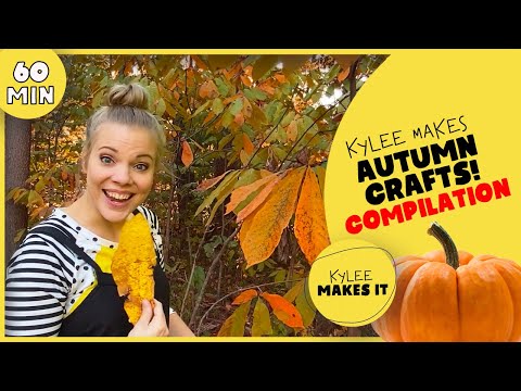 Video: Brilliant Autumn Craft Ideas per il tuo bambino