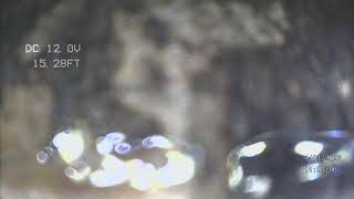 7314 55th Ave N, St Petersburg, Florida