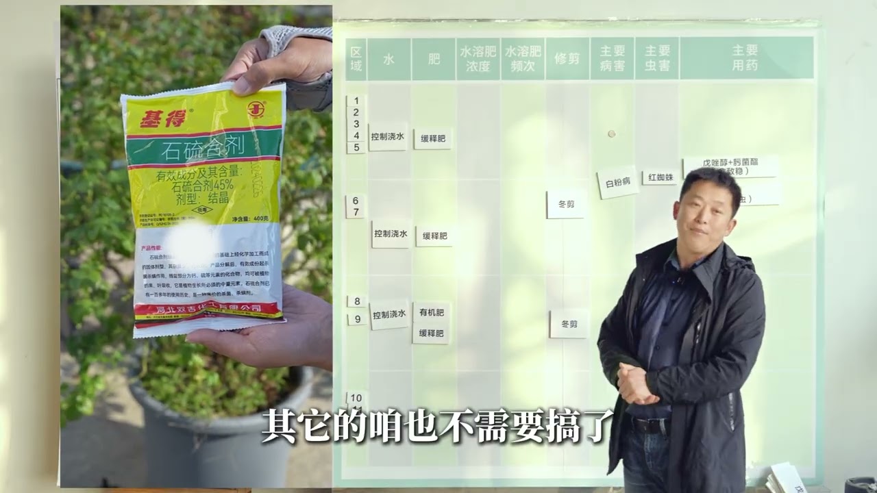 【天狼说月季】例行的每月花事来了，1月份要注意些什么