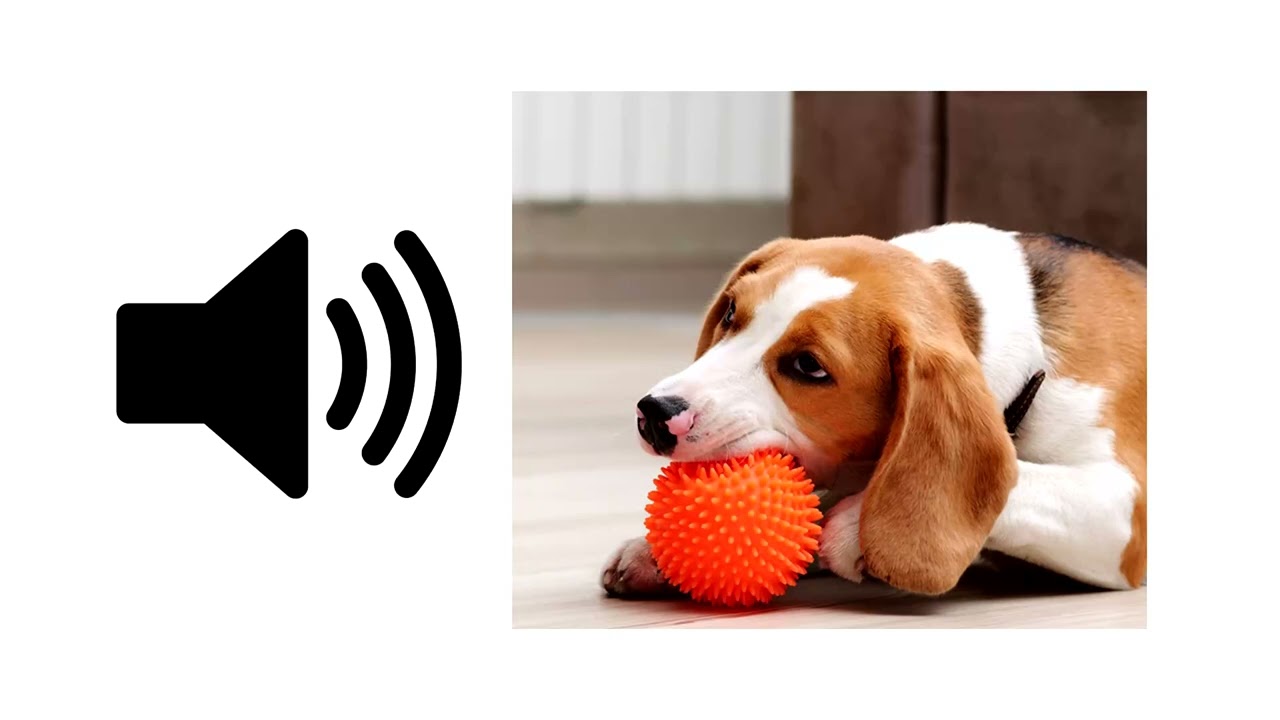 Squeaky Toy - Sound Effect | ProSounds