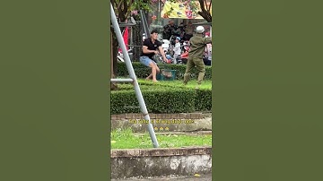 Chó thả rông là không được nhé! #giaothong #yeudongvat #yeuchomeo #nuoicho #dongvat #phapluat