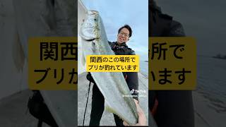 関西のあの場所で..5月13日に起きた衝撃映像。 #short #shortstory