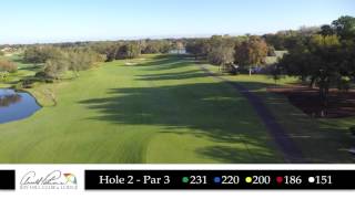 Bay Hill Hole 2 Flyover