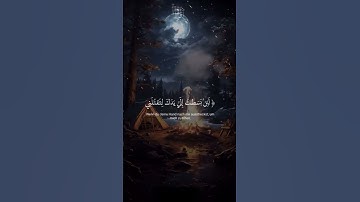 #أرح_سمعك_وقلبك #اكسبلور #قرآن #دويتو #مصر #duet #آيات #حالات_واتس #القرآن_الكريم #لايك