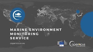 Copernicus Marine Environment Monitoring Service: Product Portfolio and Data Access