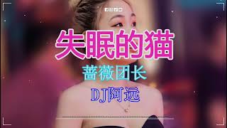 蔷薇团长 - 失眠的猫 (DJ阿远 Funky Rmx 2023) 🎵 最佳Tik Tok混音音樂 Chinese Dj Remix 2023