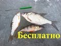 Где половить рыбу зимой под Киевом и в Киевской области