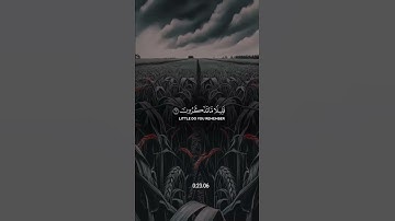 أَمَّن يُجِيبُ الْمُضْطَرَّ إِذَا دَعَاهُ وَيَكْشِفُ السُّوءَ..! {سورة النمل} 🌿🤍