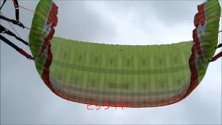 20110803Factor2Coo.wmv