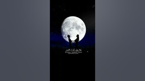 تلاوه قران من سوره النساء  بصوت جميل🍃 فيديوهات قصيره حالات واتساب 🍃 فيديوهات قران كريم