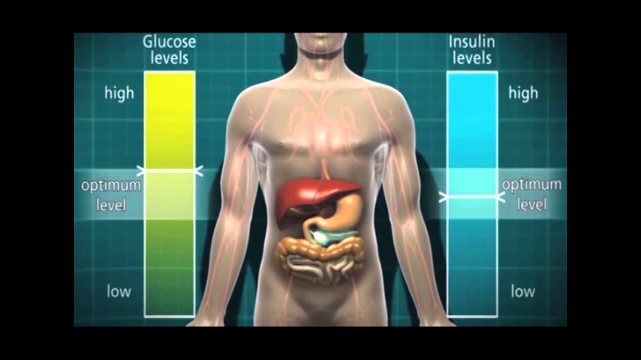 On On Diabalife Hindi Youtube Diabetic Health Diabetes Diabetes Control