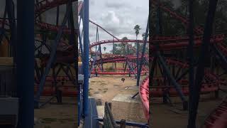 Scorpion at Busch Gardens Tampa
