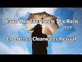 Have You Ever Seen The Rain? 雨を見たかい 歌詞カタカナ【CCR/Creedence Clearwater Revival】
