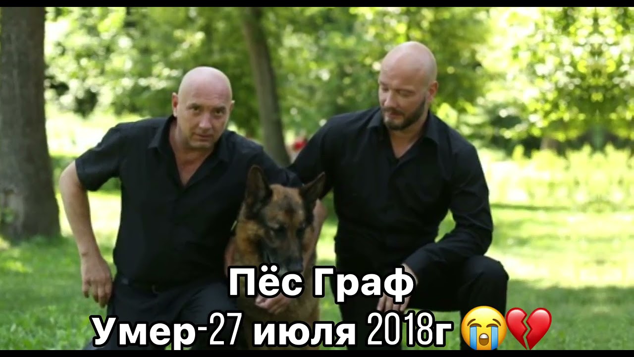 Почему логан умер