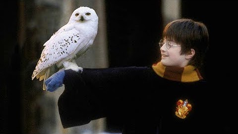 Harry Potter - Hedwig’s Theme (1 Hour Version)