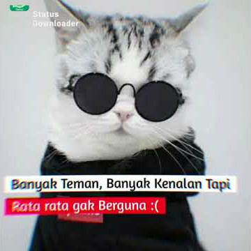 Status wa goblok||sindir temen sendiri 🤣