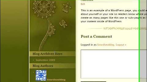 Wordpress Training Video 4 - Editing Appearance