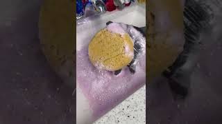Super Satisfying Foam Cleaning ASMR 🧼✨ Instant Stress Relief