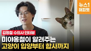 고양이 입양 초보라면 꼭 봐야 하는 영상! 김명철 수의사가 알려주는 꿀팁 정보 | cat