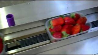 ORANGE - Horizontal flow pack machine (Strawberries)