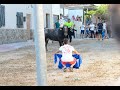 ENCIERRO DE AÑOVER DE TAJO 2015