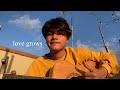 Love grows cover