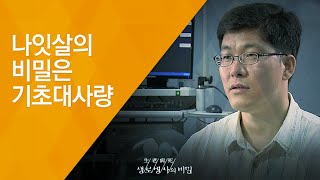 나잇살의 비밀은 기초대사량  - (2009.09.17_302회 방송)_내 몸의 시한폭탄, 나잇살