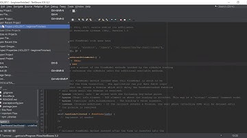 Netbeans local history example