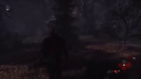 Friday the 13th part 6,9,7 Jason