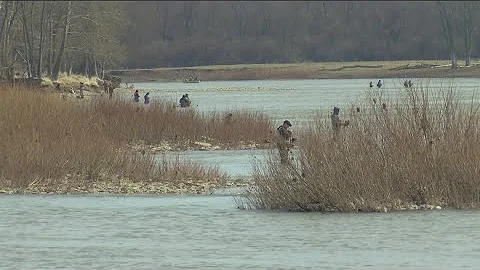 Troubled waters: Fish from urban areas, Great Lakes carry toxic forever chemicals, study says