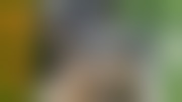 Binary Trigger for B&T pistols by Franklin Armory