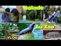 Vlog visite et dcouverte des animauxrares au park national de karlsruhe  vlog couple
