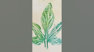 Botanical Gelli Printing with Sonja Strausz