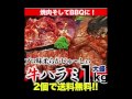 激ウマ、大盛り！！特選牛ハラミ1kg　特典付き♪♪