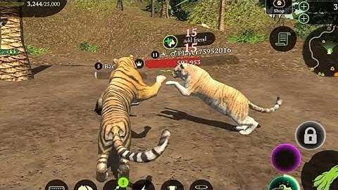 The Tiger | gameplay walkthrough part 4 | Red chilli Gaming | Android iOS