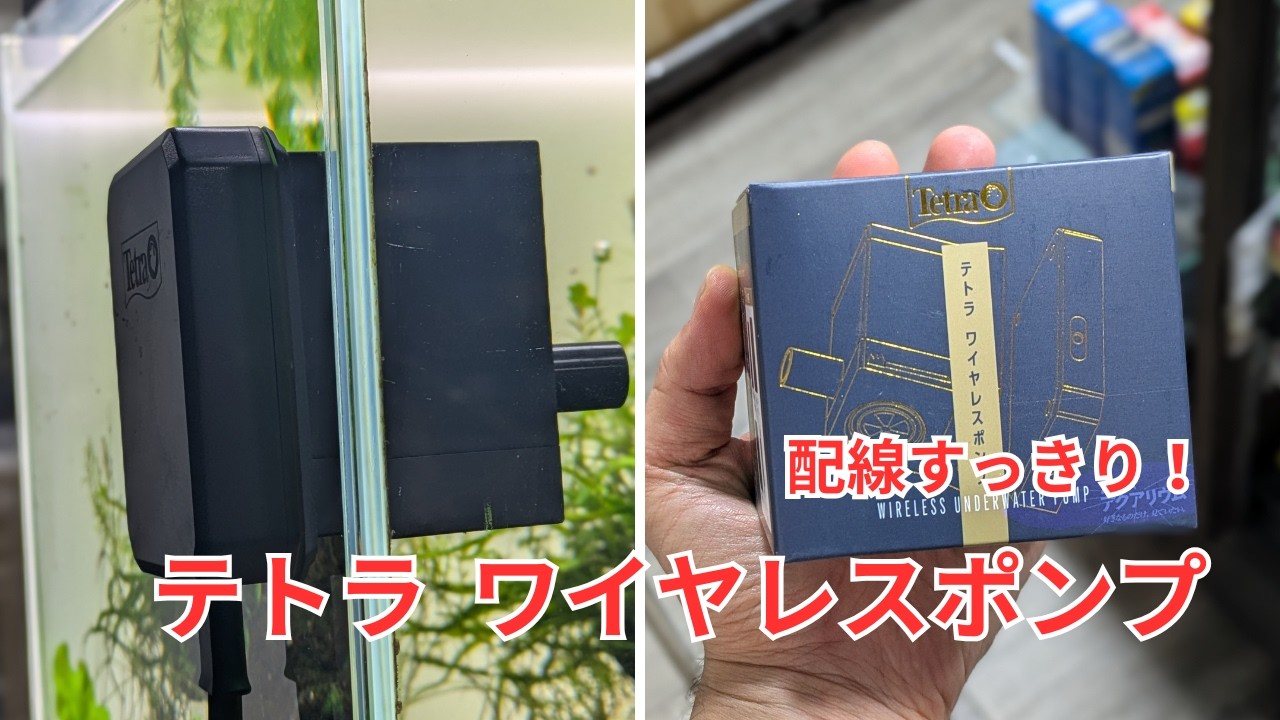 配線が無いのですっきりまとまる【テトラ ワイヤレスポンプ】をご紹介