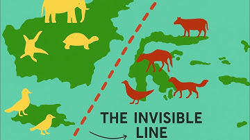 The Invisible Line That No Animal.Bird Can Cross