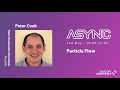 ASYNC - Particle Flow